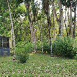 listing image thumbnail with ID 102585