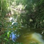 listing image thumbnail with ID 93578