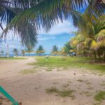 listing image thumbnail with ID 102893
