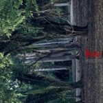 listing image thumbnail with ID 85931