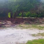 listing image thumbnail with ID 102723