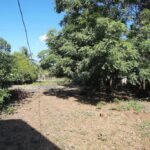 listing image thumbnail with ID 85484