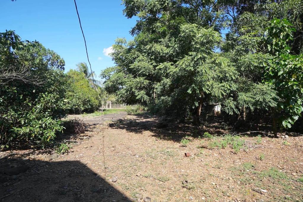 listing image with ID 85484