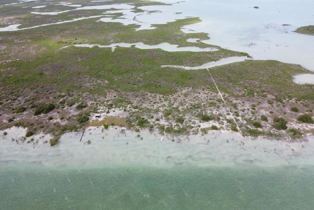 listing image with ID 101172
