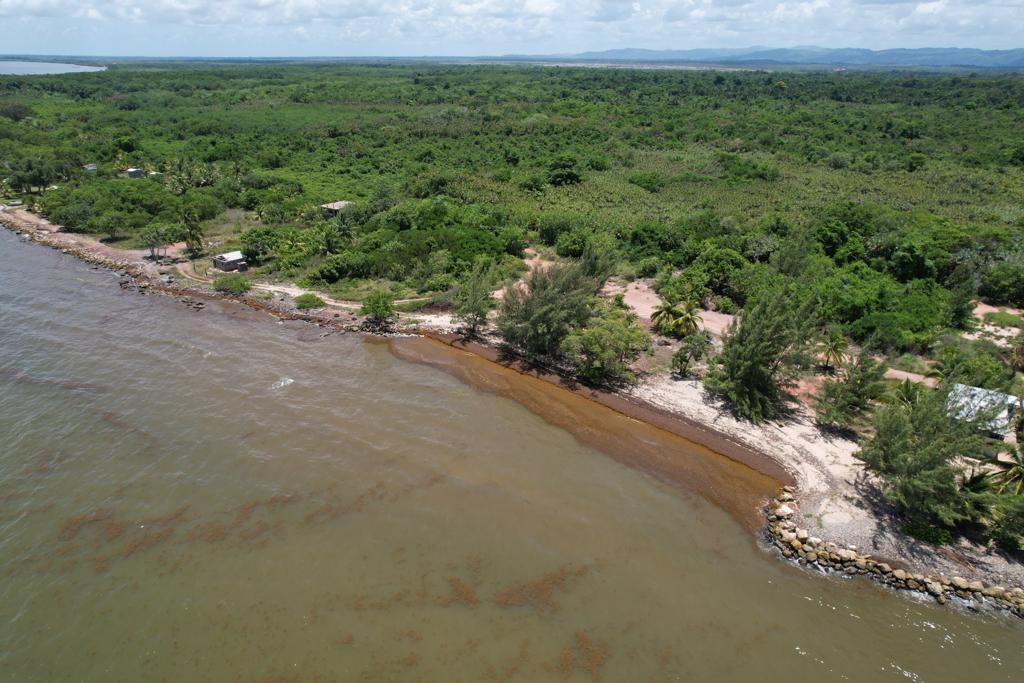 listing image with ID 94687