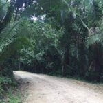 listing image thumbnail with ID 106215