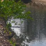 listing image thumbnail with ID 102718