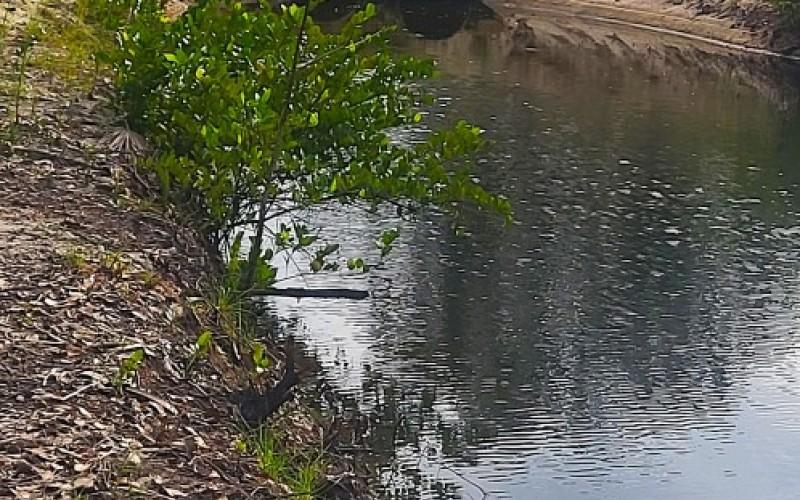 listing image with ID 102718