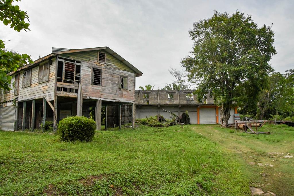 listing image with ID 84242