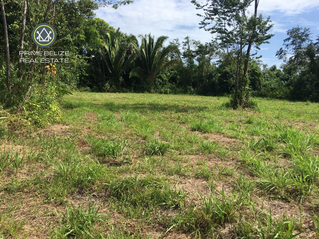 listing image with ID 89613