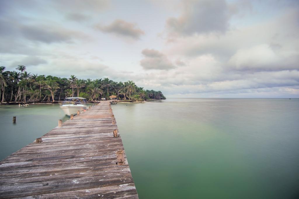 listing image with ID 80157