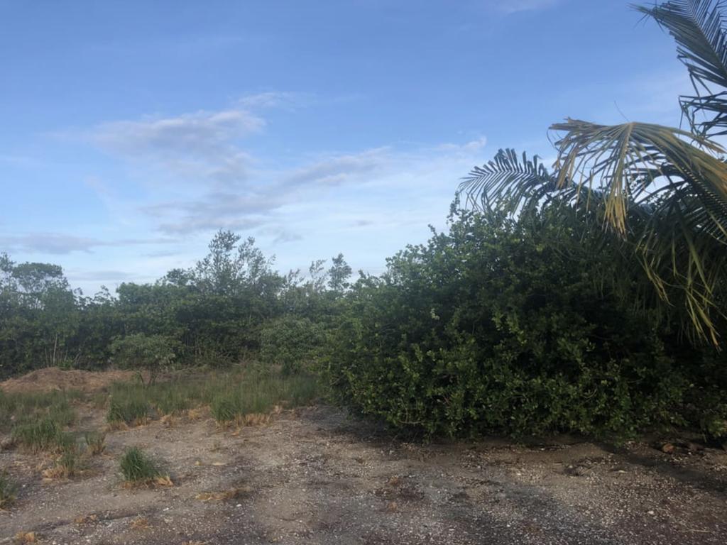 listing image with ID 94768