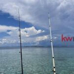 listing image thumbnail with ID 86018