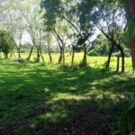 listing image thumbnail with ID 104418