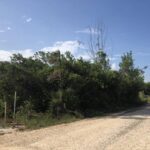 listing image thumbnail with ID 74608