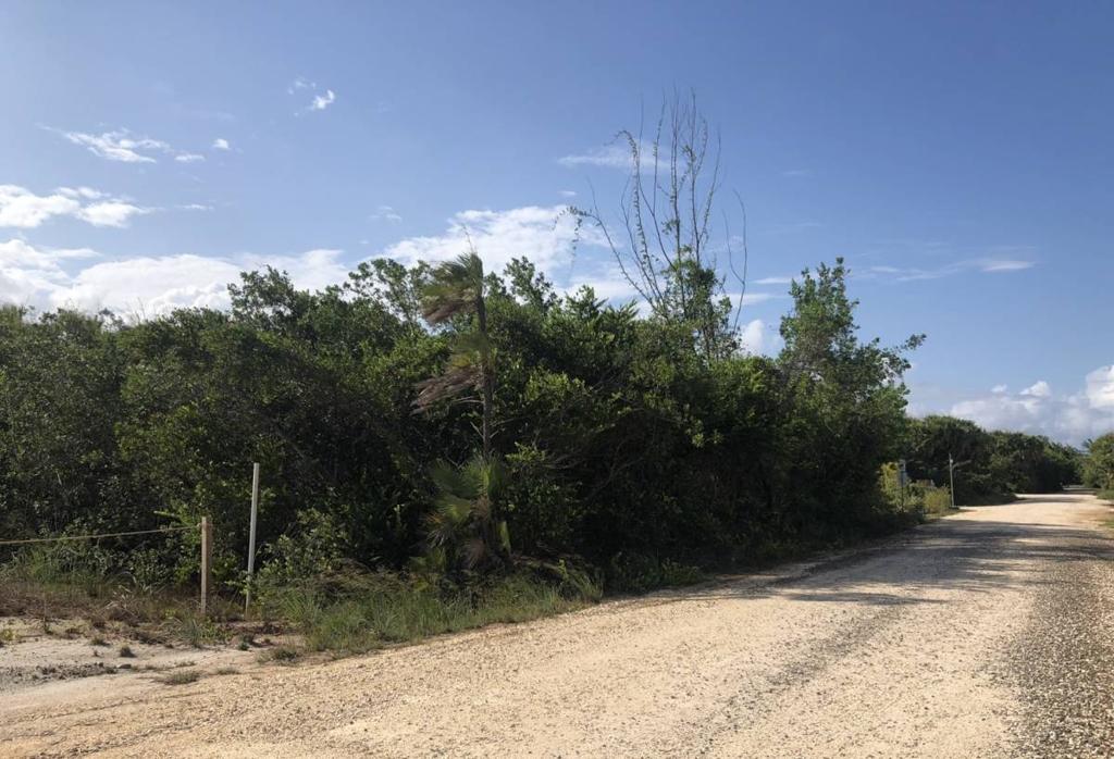 listing image with ID 74608