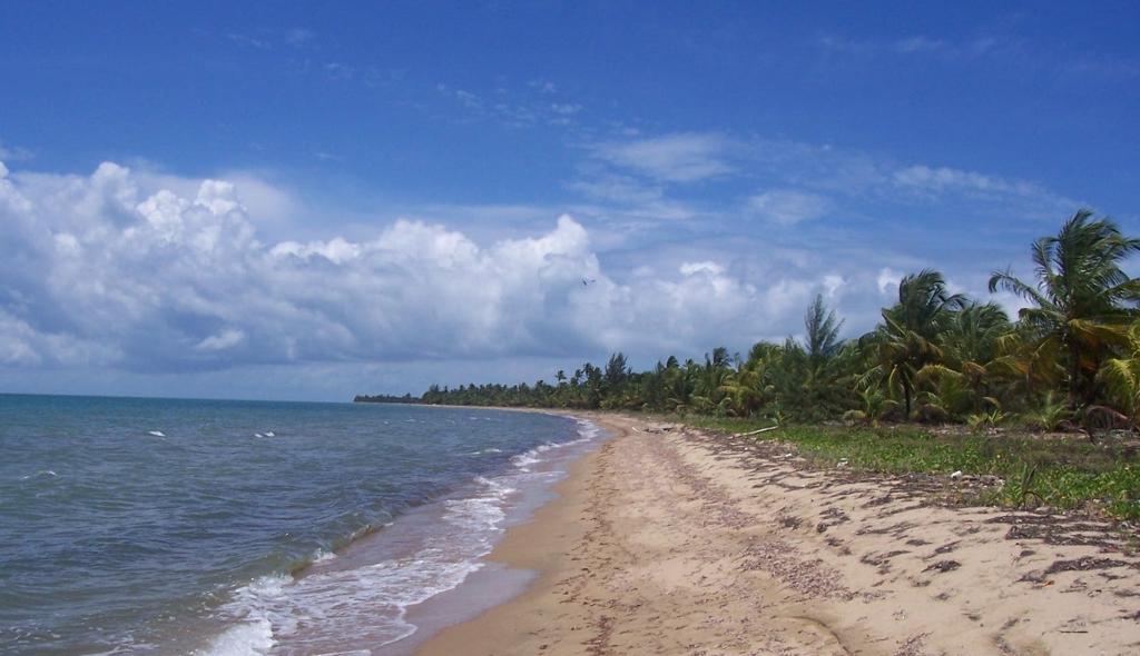 listing image with ID 98117