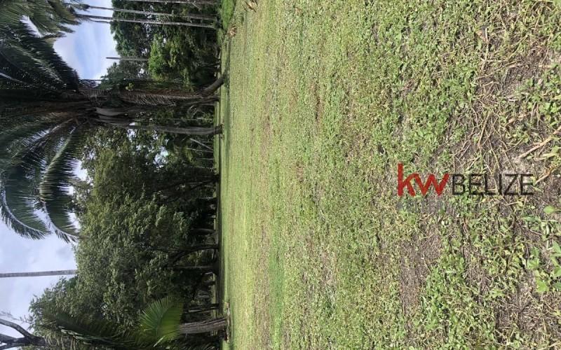 listing image with ID 85933