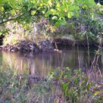 listing image thumbnail with ID 78131