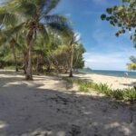 listing image thumbnail with ID 75646