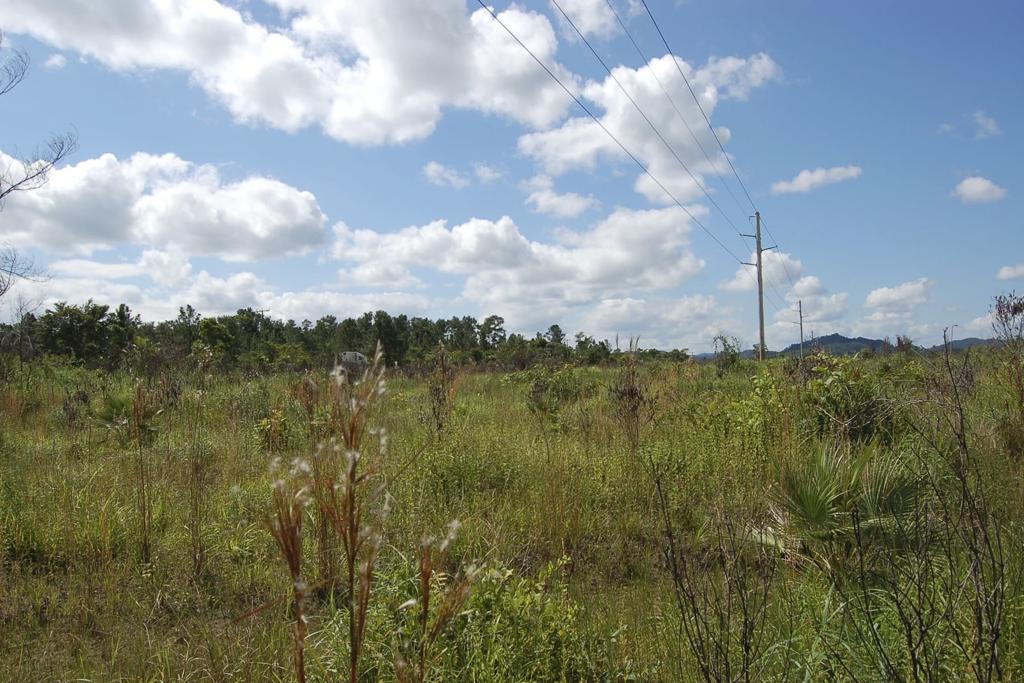 listing image with ID 97274