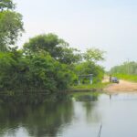 listing image thumbnail with ID 90138