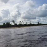 listing image thumbnail with ID 84425