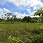 listing image thumbnail with ID 95108
