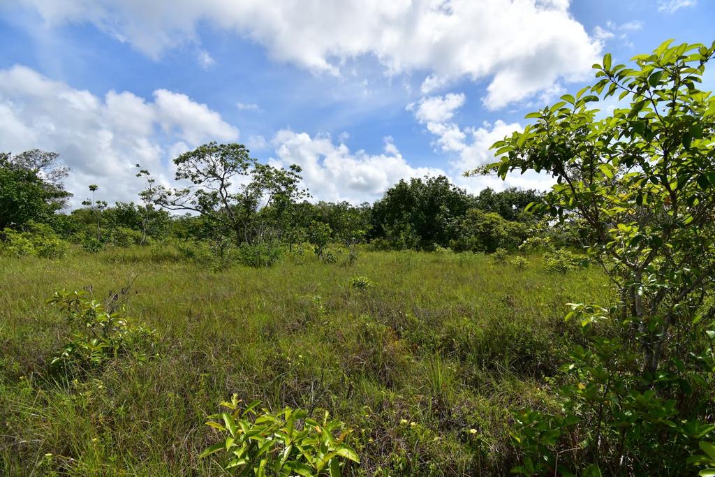 listing image with ID 95108