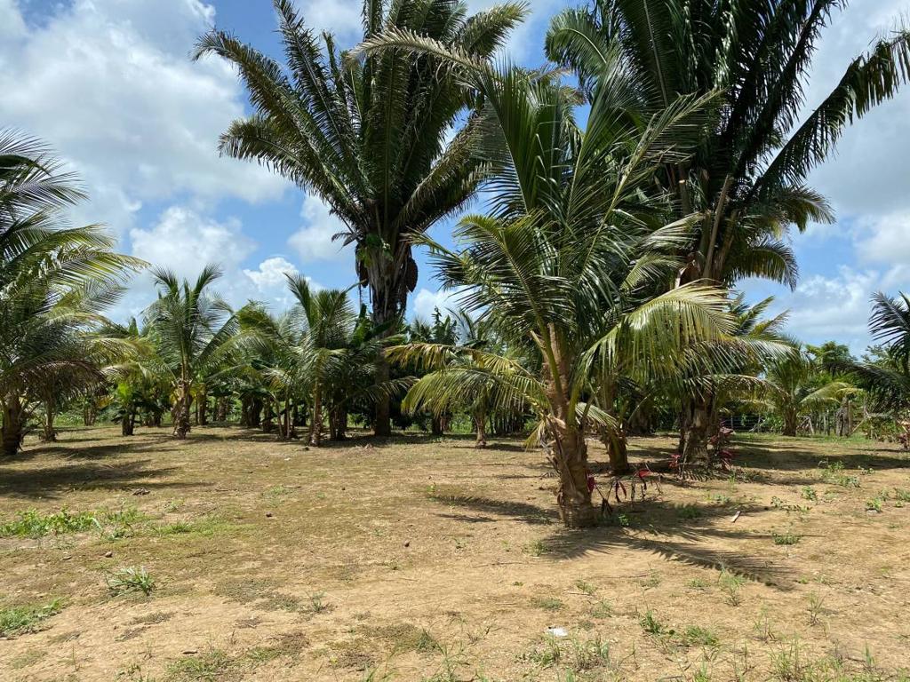 listing image with ID 104684