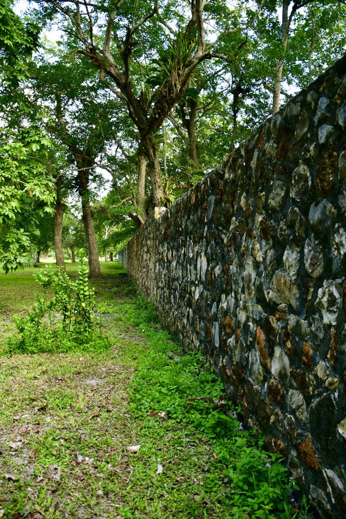 listing image with ID 84008