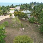 listing image thumbnail with ID 78035