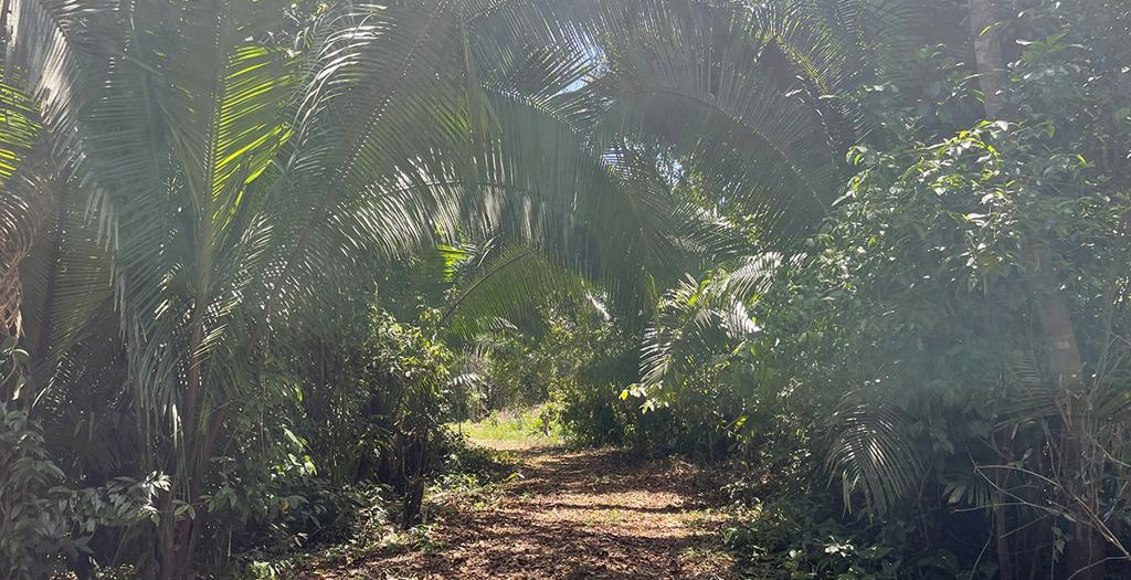 listing image with ID 75842