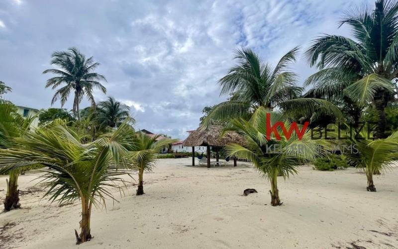 listing image with ID 103377