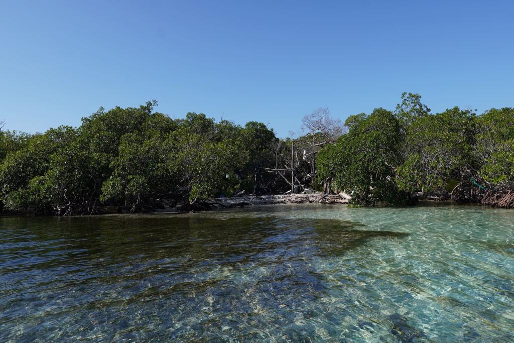 listing image with ID 107976