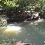 listing image thumbnail with ID 92288