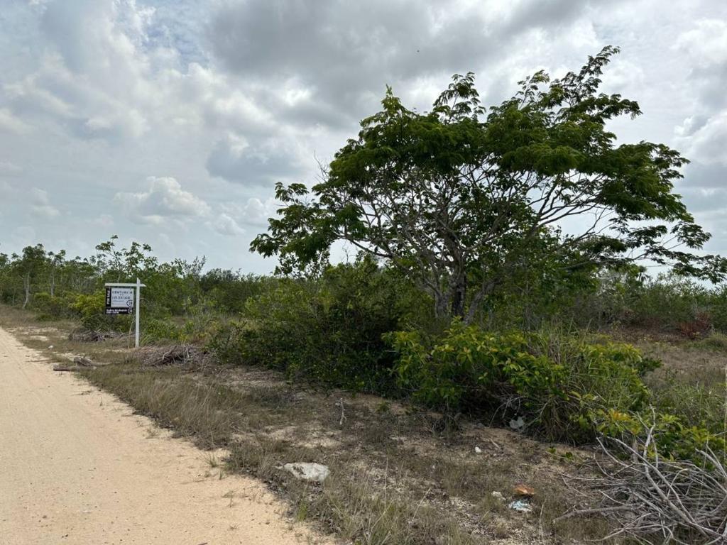 listing image with ID 106163