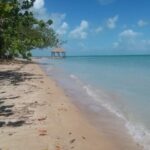 listing image thumbnail with ID 94602