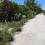 listing image thumbnail with ID 96786