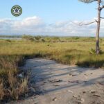 listing image thumbnail with ID 107111