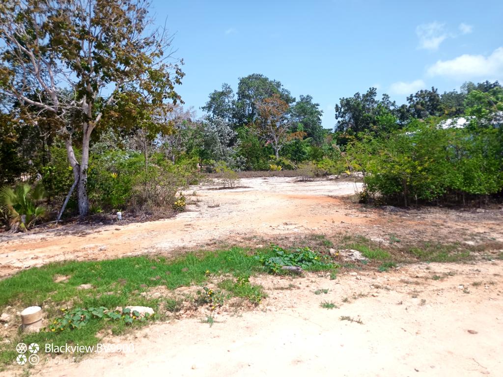 listing image with ID 98621