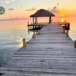 listing image thumbnail with ID 102501