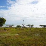 listing image thumbnail with ID 101184