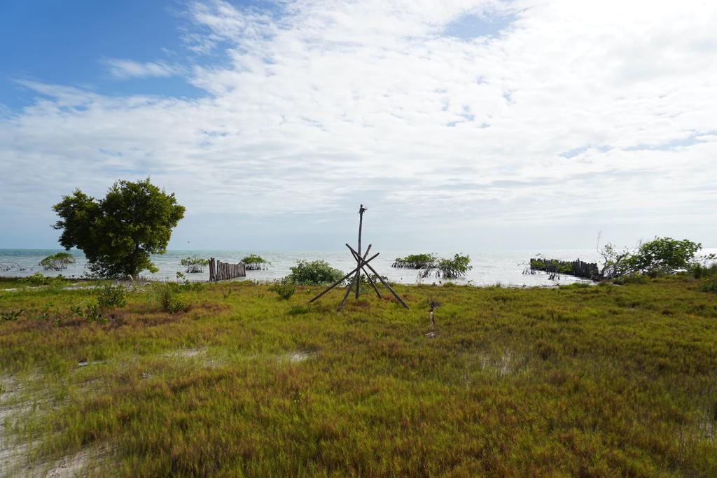 listing image with ID 101184