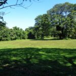 listing image thumbnail with ID 104427