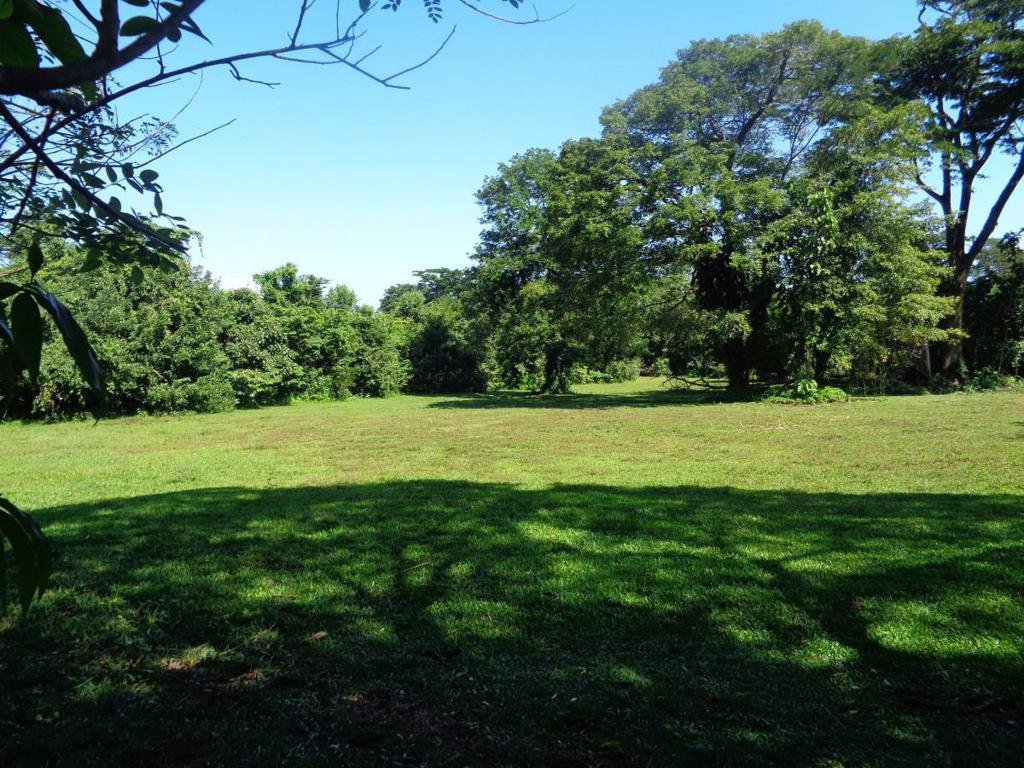 listing image with ID 104427