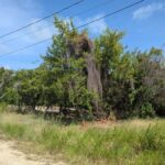 listing image thumbnail with ID 78362