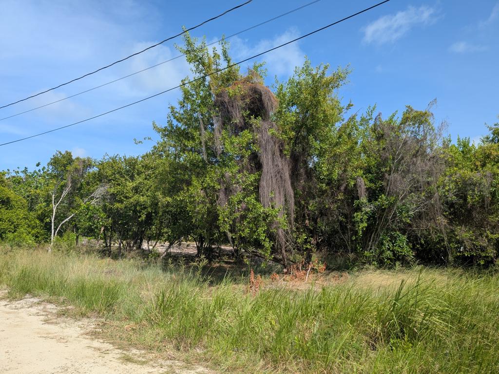 listing image with ID 78362