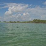 listing image thumbnail with ID 100221