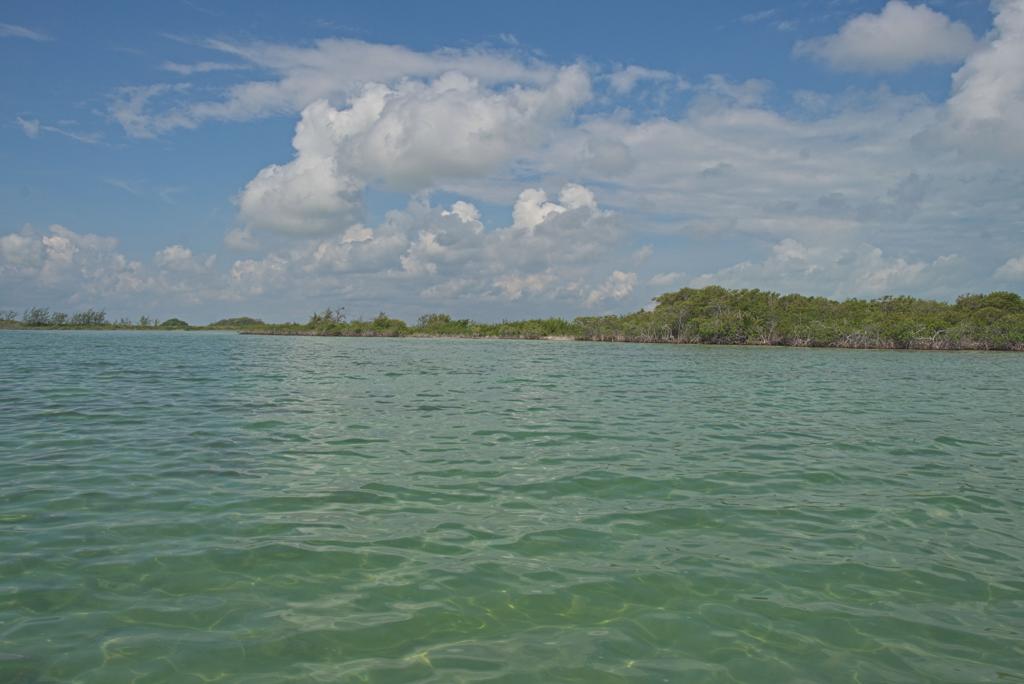 listing image with ID 100221